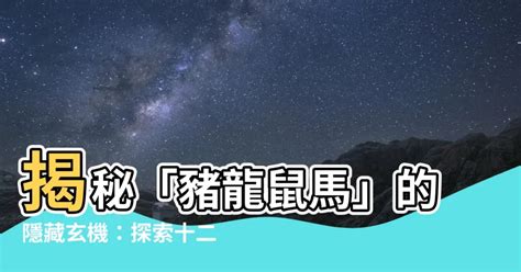 豬龍鼠馬什麼意思|12月生肖整體運勢解析！兔脾氣火爆、豬自信爆棚 這。